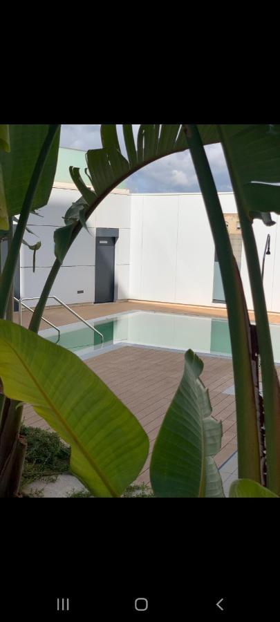 Cordoba Luxury Home Экстерьер фото